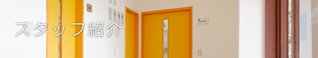 スタッフ紹介